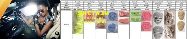 хмурый Магас