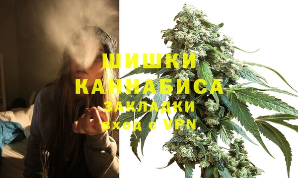 хмурый Магас