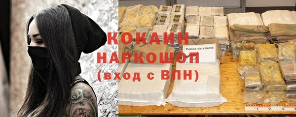 хмурый Магас