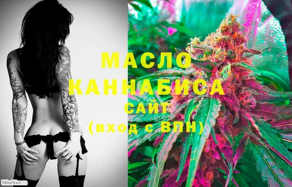 хмурый Магас