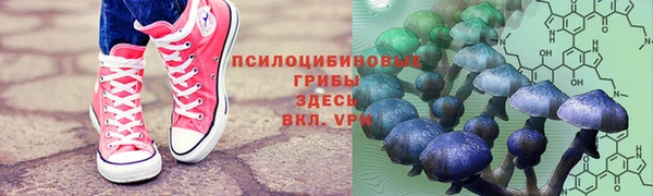 а пвп мука Вяземский