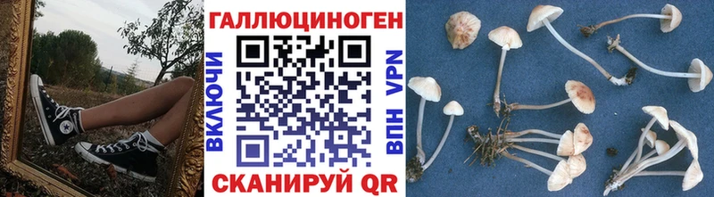 Псилоцибиновые грибы Cubensis  Меленки 